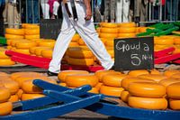 Many whole Dutch cheese at the market in Alkmaar