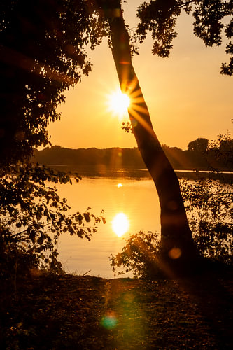 Romantischer Sonnenuntergang an idyllischem See mit Sonnenschein und urigem Baum am Ufer