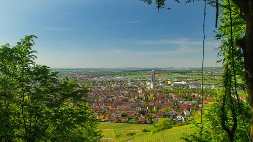 Stad Fellbach bij Stuttgart, Duitsland, vanaf Kappelberg in prachtige lentesfeer