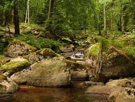 Kalte Bode im Harz von Jörg Hausmann