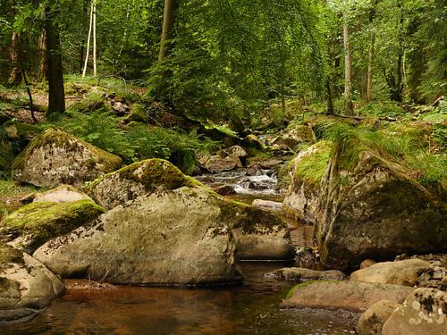 Kalte Bode River in the Harz Mountains