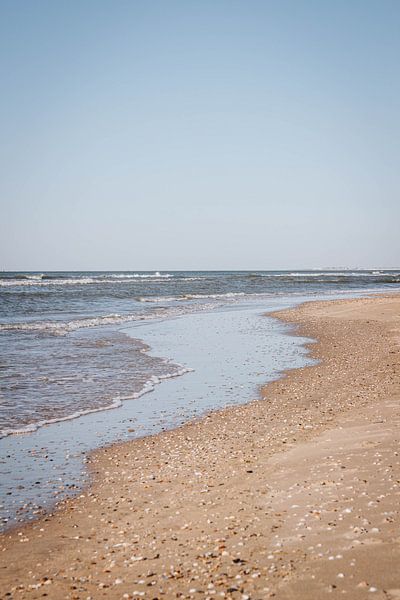 Shells in the surf along the coast at Zandvoort aan Zee | Beach and sea photography in the Netherlan by Evelien Lodewijks