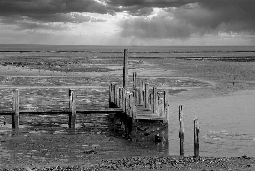 Wadden Sea by Jose Lok