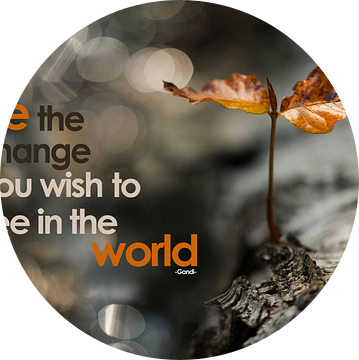 Quote: Be the change you wish to see in the world van Andrea Gulickx