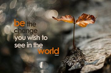Quote: Be the change you wish to see in the world by Andrea Gulickx