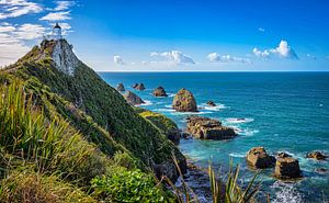 Leuchtturm auf Taiaroa Kopf, Otago-Halbinsel, Neuseeland