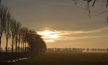 Good morning by Shelby Greven