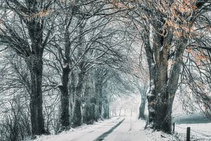 Contes d'hiver