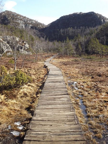 Het Pad van M Schouten