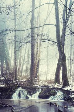 Lentebeek in een winterbos van Tobias Luxberg
