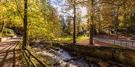 Spa gardens in Bad Wildbad in the Black Forest by Werner Dieterich