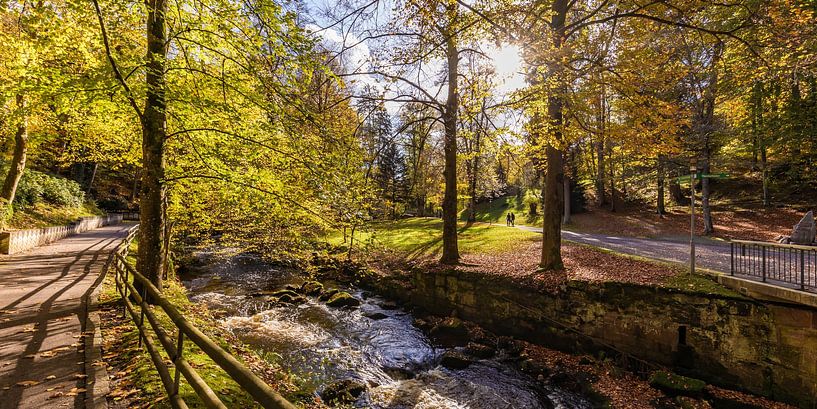 Kuurpark in Bad Wildbad in het Zwarte Woud van Werner Dieterich