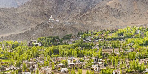 Leh in Ladkh