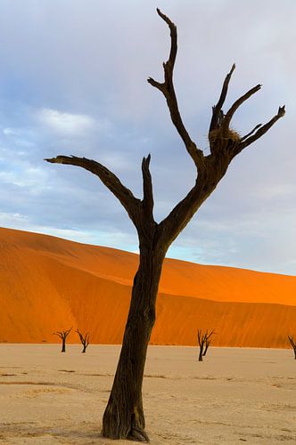 Deadvlei