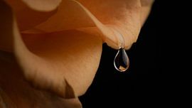 dranbleiben von iwan faber