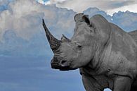 Rhinocéros à large bouche ck par Barbara Fraatz Aperçu