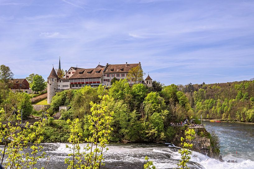 SCHWEIZ : RHEINFALL SCHAFFHAUSEN von Photoart-Naegele