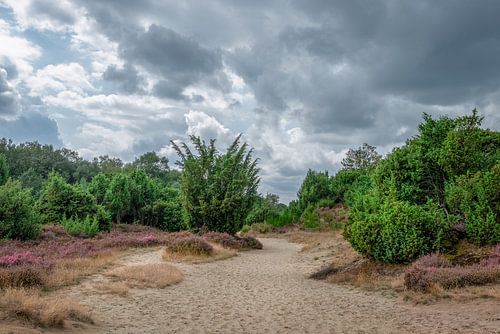 Heide Mantingerzand met imposante wolkenlucht