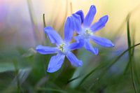 Signs of spring.