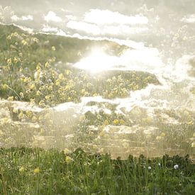 Cloudy sky with yellow flowers, double exposure by Cora Unk