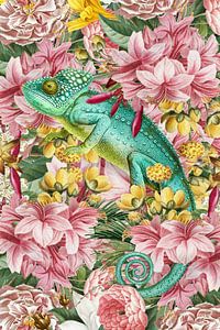 The Chameleon sur Marja van den Hurk