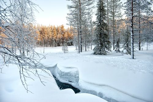 Riviertje sneeuw landschap