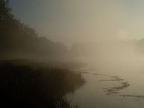 Morning light