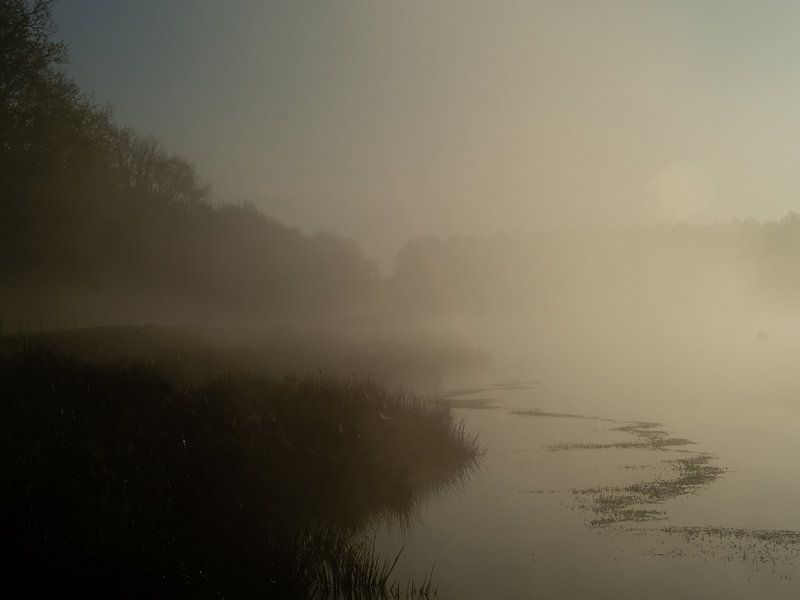 Morning light by Jaap Lagendijk