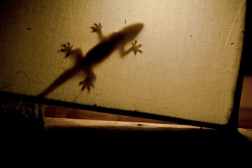 Gecko lamp van BL Photography