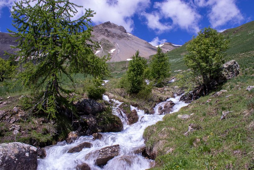 Stream at Col de Vars in France by Ingrid van Sichem