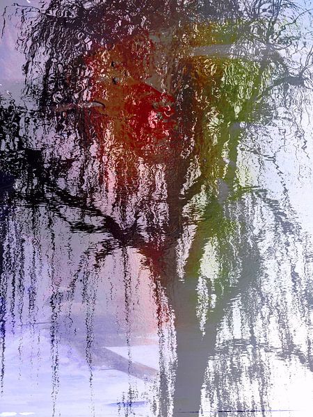 Tree Magic 91 von MoArt (Maurice Heuts)