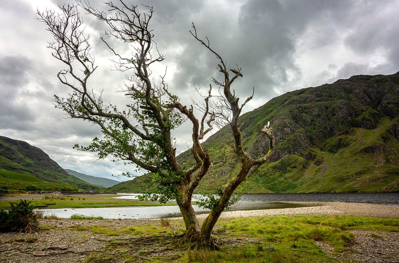Vallée de Doolough, Irlande par Bo Scheeringa Photography
