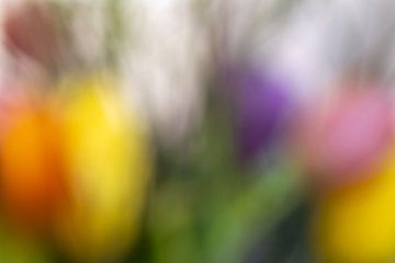 Onder een waas van kleurende tulpen van Jolanda de Jong-Jansen