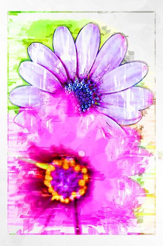 Kleurrijke Spaanse margrieten (kunst)