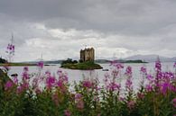 Blick auf Stalker Castle von Robert Paul Jansen Miniaturansicht