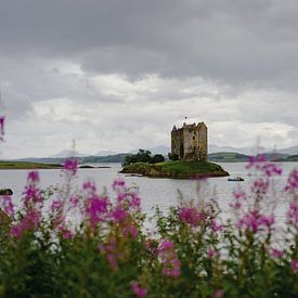 Vue du château Stalker sur Robert Paul Jansen