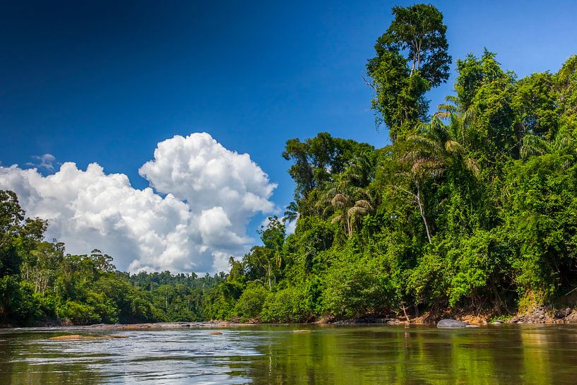 Blick auf den Fluss Suriname, Suriname von Marcel Bakker