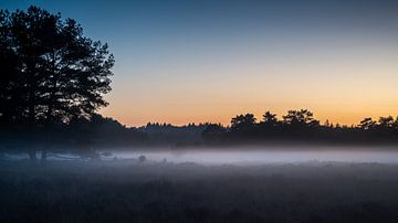 Nevel bij zonsondergang van Erwin Pilon