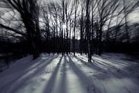 White light