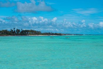 Tropisch Zanzibar