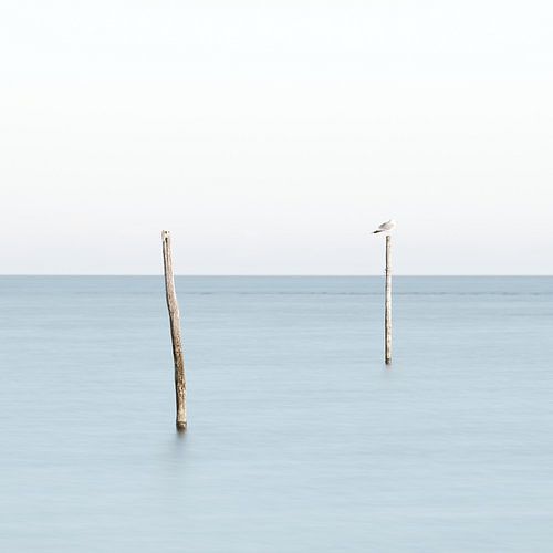 Piles of fishing nets in the IJsselmeer (seascape)