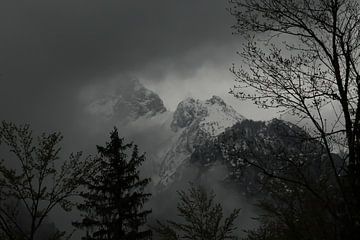Oostenrijkse bergen in de mist van Blackbird PhotoGrafie
