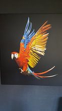 Klantfoto: Scarlet Macaw van Ulrich Brodde, op canvas