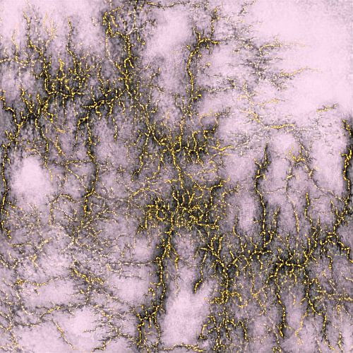 Pink Marble Pattern Black And Golden Vined