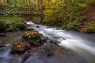 Strohner Schweiz, Rheinland-Pfalz, Deutschland von Alexander Ludwig Miniaturansicht