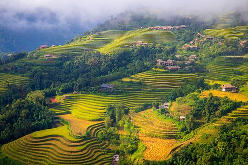 De Spectaculaire Rijstvelden van Hoang Su Phì, Vietnam