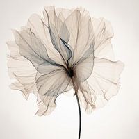 Transparent flowers