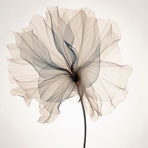 Doorzichtige bloemen