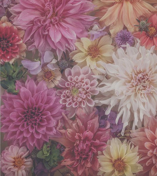 SoftPink von Marina de Wit