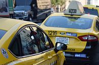 Yellow cab in San Francisco by Nancy Robinson thumbnail